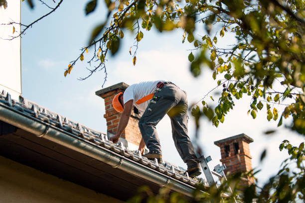 Best Local Roofing Companies  in Mcdonald, PA
