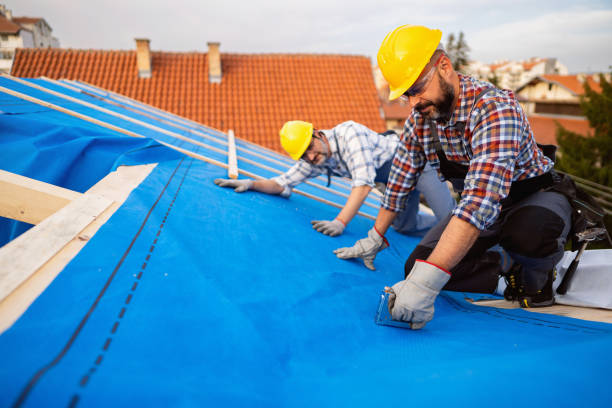 Best Roof Gutter Cleaning  in Mcdonald, PA